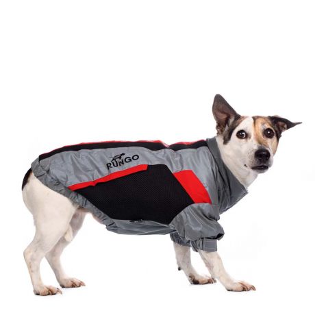 Rungo Куртка на молнии для собак крупных пород Карликовый пинчер, Джек Рассел, Бигль 41x60x39см 2XL серый (унисекс)