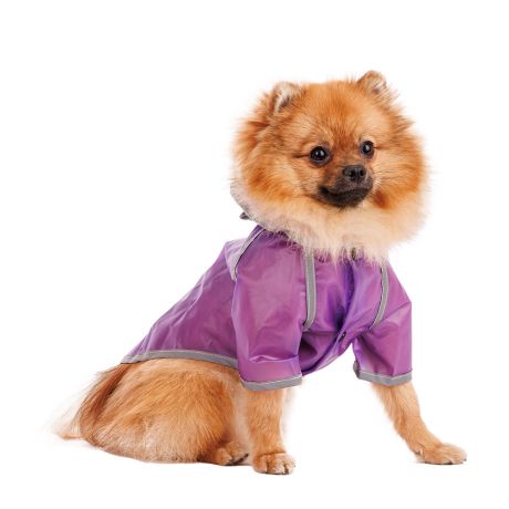 Aвва Дождевик для собак с капюшоном S фиолетовый (унисекс)