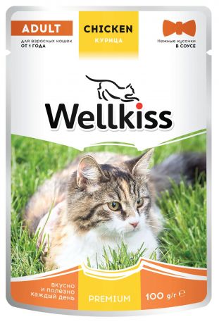 Wellkiss Adult влажный корм для взрослых кошек, с курицей в соусе, 100 г