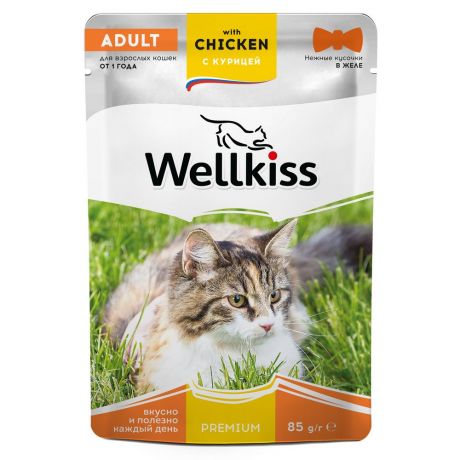 Wellkiss Adult влажный корм для взрослых кошек с курицей в желе, 85 г