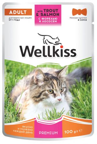 Wellkiss Adult влажный корм для взрослых кошек, с форелью и лососем в соусе, 100 г