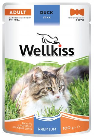 Wellkiss Adult влажный корм для взрослых кошек, с уткой в соусе, 100 г