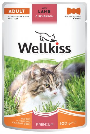 Wellkiss Adult влажный корм для взрослых кошек, с ягненком в желе, 100 г