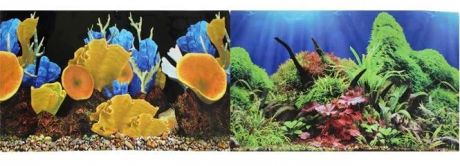 Prime Фон для аквариума двусторонний Морские кораллы/Подводный мир 30х60см(9096-1/9097)