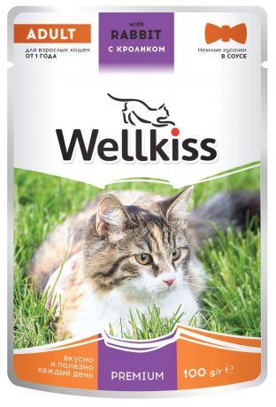 Wellkiss Adult влажный корм для взрослых кошек, с кроликом в соусе, 100 г