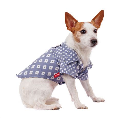 Petmax Рубашка для собак XL голубой (унисекс)
