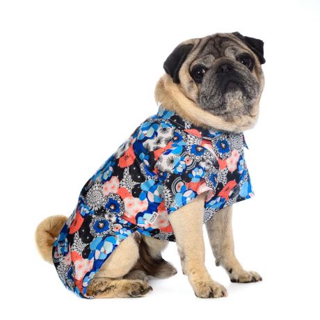 Rurri Рубашка для собак с узорами L синий (унисекс)