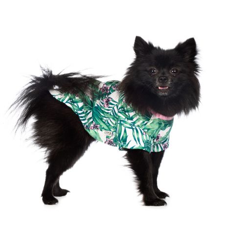 Rurri Рубашка для собак с листьями L зеленый (унисекс)
