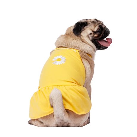 Petmax Платье для собак с ромашкой XL желтый (девочка)