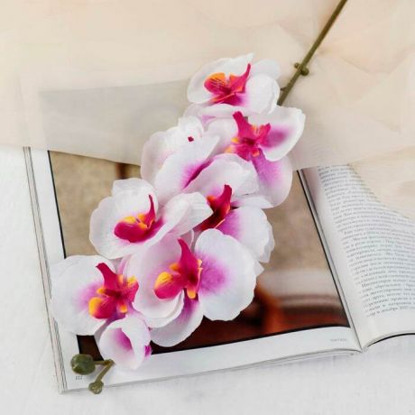 Цветок искуственный орхидея молди 9*66см бело фиолетовая 2578240