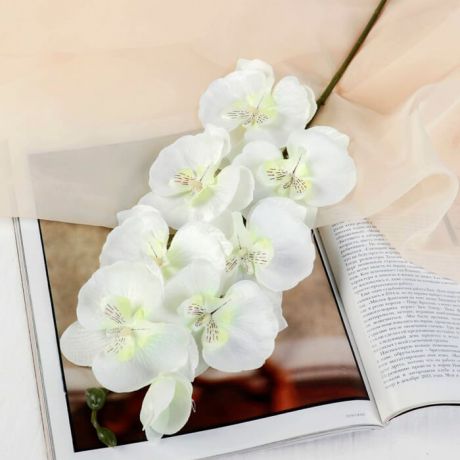 Цветок искуственный орхидея молди 9*66см белая 2578239