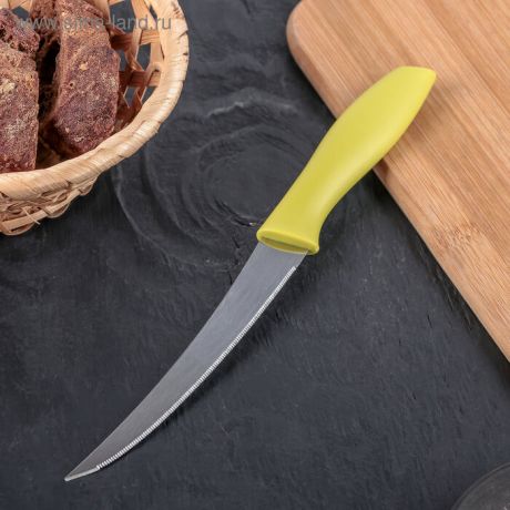 Нож 12 см кухонный доляна ария 3840042