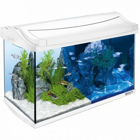 Tetra Tetra AquaArt LED Tropical аквариум белый 60 л, 61,5х34х43 см