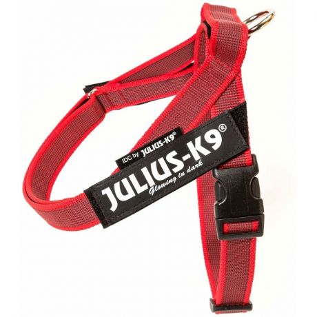 Julius-K9 Julius-K9 шлейка для собак Color & Gray Mini-Mini, 40-49 см / 4-7 кг, красная