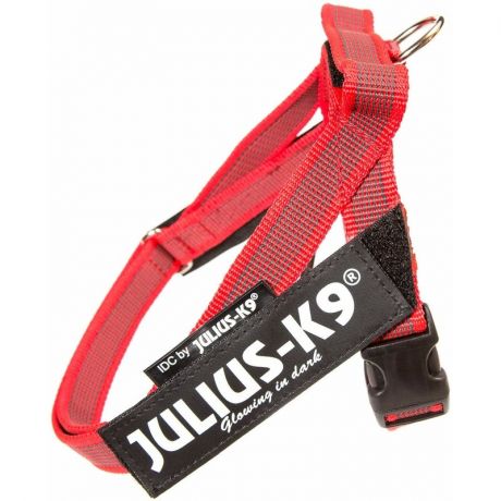 Julius-K9 Julius-K9 шлейка для собак Color & Gray 0, 57-74 см / 14-25 кг, красная