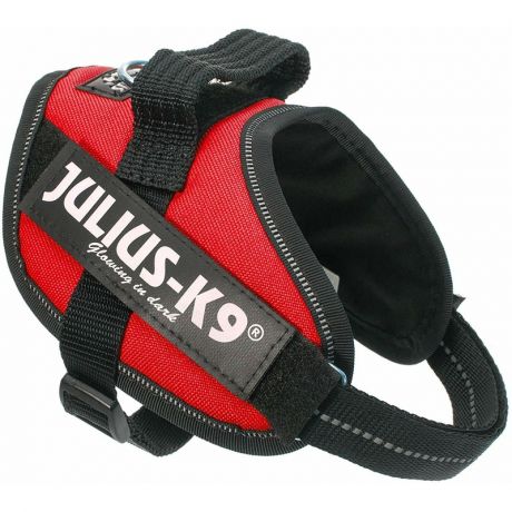 Julius-K9 Julius-K9 шлейка для собак IDC-Powerharness Mini-Mini, 40-53 см/ 4-7 кг, красная