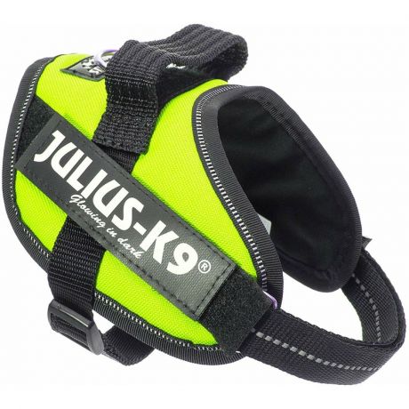 Julius-K9 Julius-K9 шлейка для собак IDC-Powerharness Mini-Mini, 40-53 см/ 4-7 кг, зеленая неон