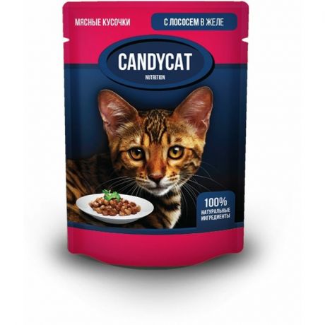Candycat Candycat влажный корм для кошек, с лососем, кусочки в желе, в паучах - 85 г