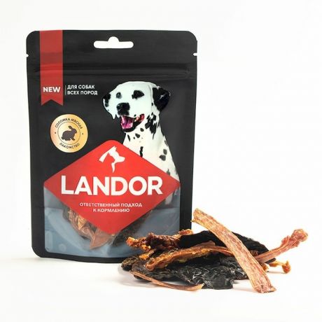 LANDOR Landor лакомство для взрослых собак всех пород, с мясными соломками - 40 г