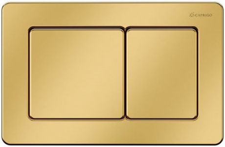 Смывная клавиша золотой матовый Caprigo Bricks BS003-oro