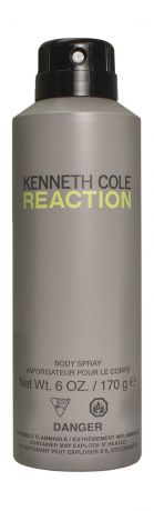 Kenneth Cole Reaction Body Spray