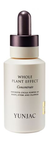 Yunjac Whole Plant Effect Concentrate