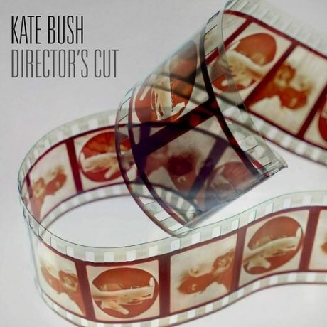 Виниловая пластинка Kate Bush - Director