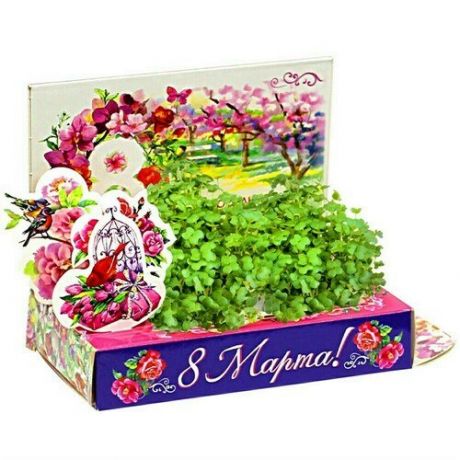 Подарочный набор Happy Plant Живая открытка. Букет тюльпанов