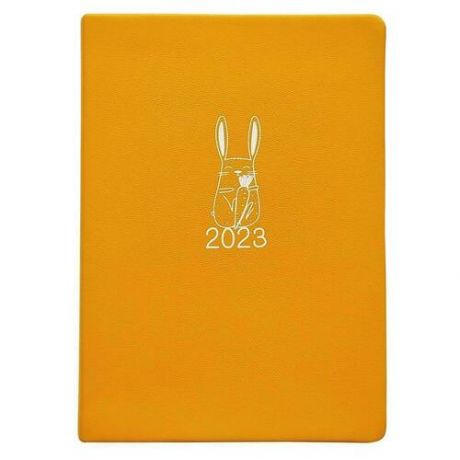 Ежедневник датированный 2023 Infolio Rabbit, оранж, 140х200 мм, 352 стр, интегральный переплет