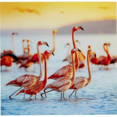 Картина Фламинго, 80 х 80 см