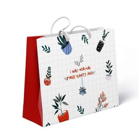 Пакет бумажный подарочный Be Smart Pots Цветы в горшке, 32х32 см