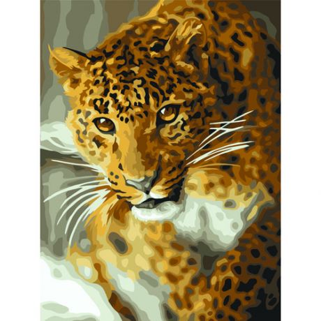 Картина по номерам на картоне Три Совы Леопард, с акриловыми красками и кистями, 30 х 40 см