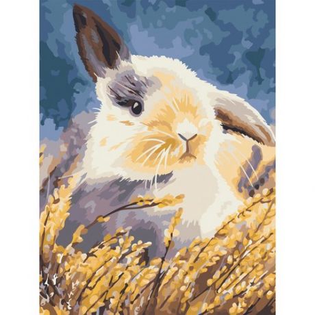 Картина по номерам на холсте Три Совы Кролик, 30 х 40 см, с акриловыми красками и кистями