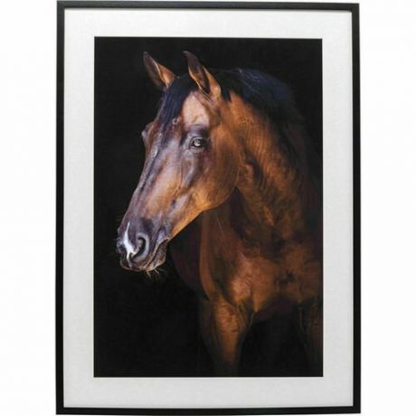 Картина в рамке Лошадь, 78 х 108 х 3 см