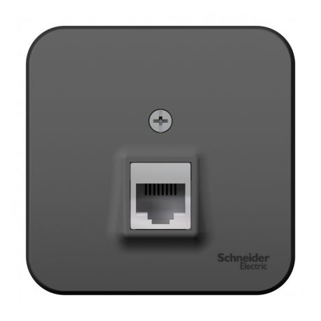Розетка компьютерная Schneider Electric Blanca BLNIA045006 открытая установка антрацит один модуль RJ45 cat 5e
