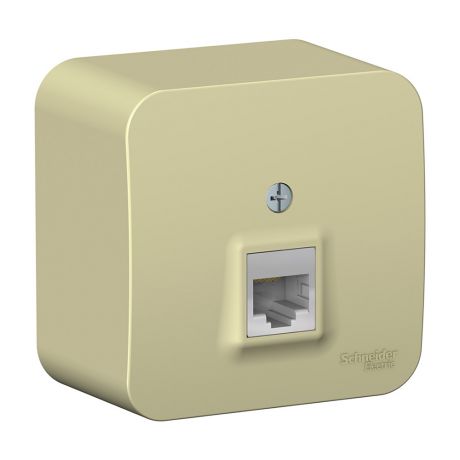 Розетка компьютерная Schneider Electric Blanca BLNIA045007 открытая установка бежевая один модуль RJ45 cat 5e