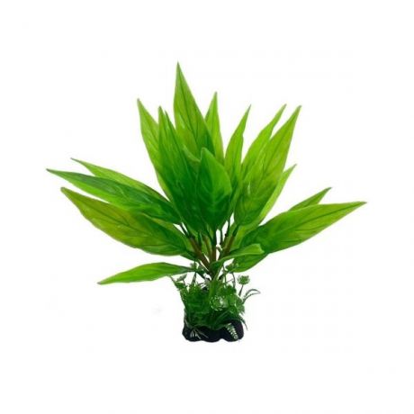 Аквариумное растение Rabizy Водоросли 26х26х28 см