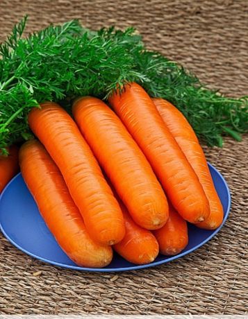 Морковь Нантская красная 2 гр б.п (Био-старт)