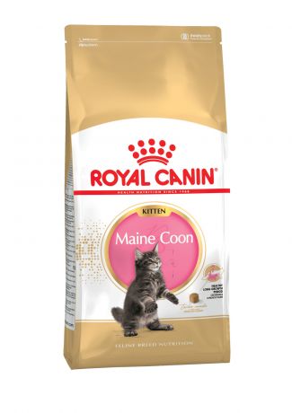 Royal Canin Корм Royal Canin для котят мейн-куна (4-15 мес.) (2 кг)