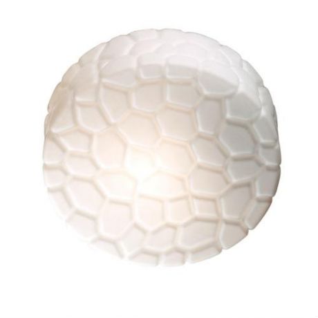 Настенно-потолочный светильник для ванной коллекция Luno, 2246/2C, белый Odeon light (Одеон лайт)