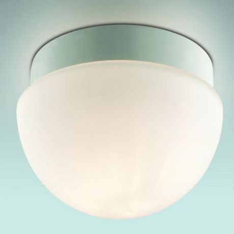 Потолочный светильник для ванной коллекция Minkar, 2443/1B, белый Odeon light (Одеон лайт)