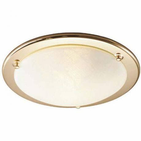 Настенно-потолочный светильник коллекция Alabastro, 121, золото/белый Sonex (Сонекс)