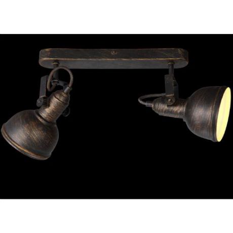 Настенно-потолочный светильник (спот) коллекция Martin, A5213AP-2BR, коричневый Arte Lamp (Арте Ламп)
