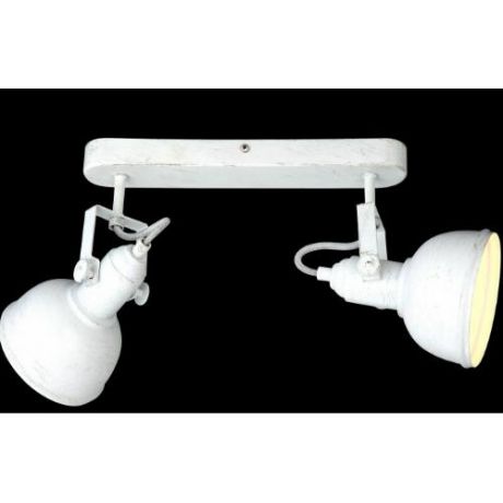 Настенно-потолочный светильник (спот) коллекция Martin, A5213AP-2WG, белый Arte Lamp (Арте Ламп)