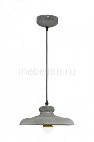 Arte Lamp Loft A5025SP-1BG
