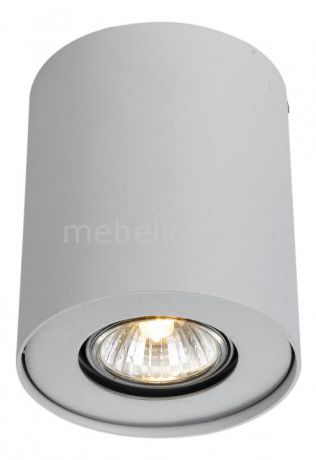 Arte Lamp Falcon A5633PL-1WH