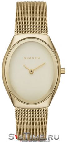 Skagen Женские датские наручные часы Skagen SKW2298