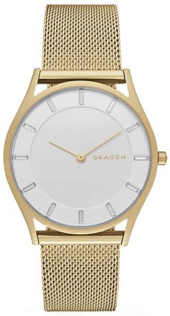 Skagen Женские датские наручные часы Skagen SKW2377