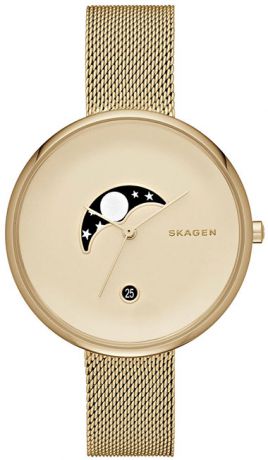 Skagen Женские датские наручные часы Skagen SKW2373