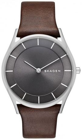 Skagen Женские датские наручные часы Skagen SKW2343
